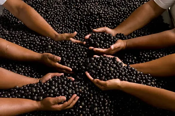 Açaí Natural na tigela